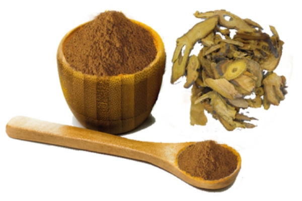 Polygonum cuspidatum root extract.jpg